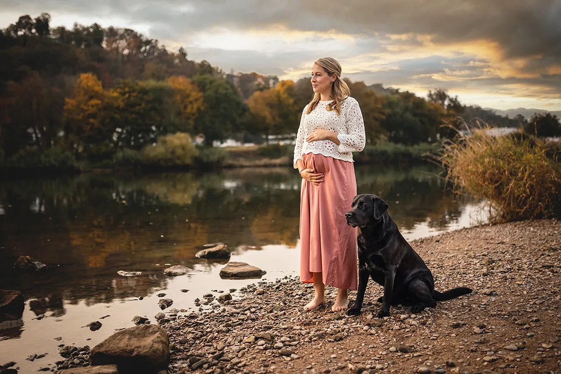 Coaching Tierfotografie Hundefotografie Bildbearbeitung Labrador und Schwangere Nachher