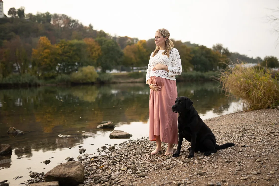 Coaching Tierfotografie Hundefotografie Bildbearbeitung Labrador und Schwangere Vorher